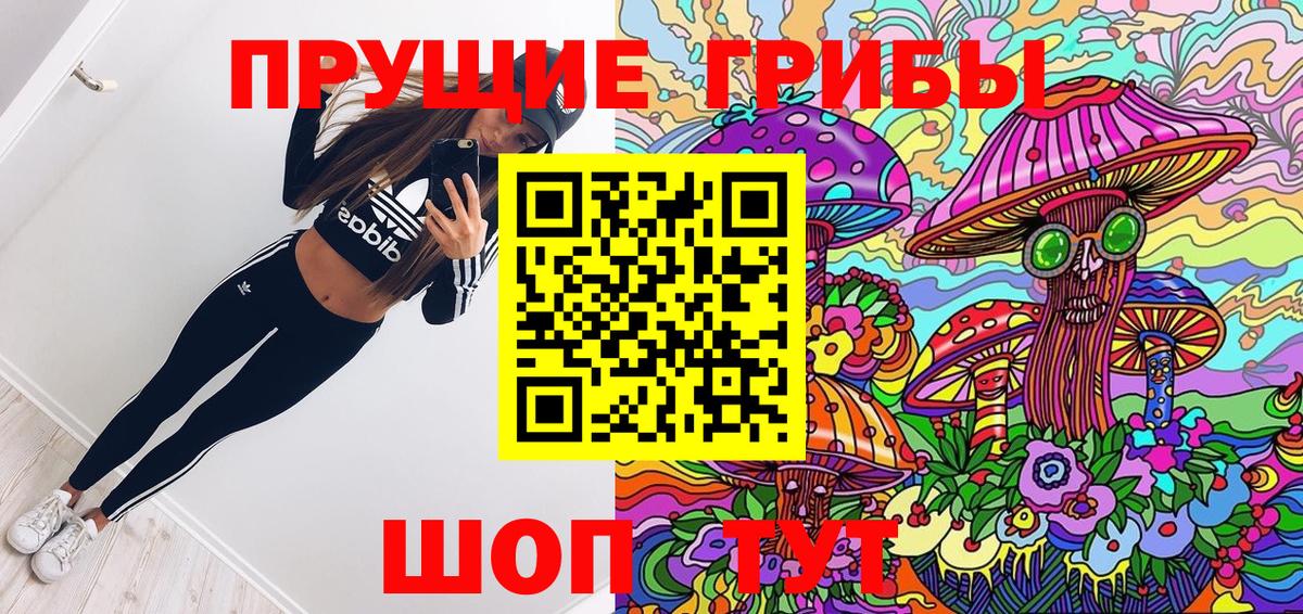 Артём  Псилоцибиновые грибы Cubensis  Вход с VPN 