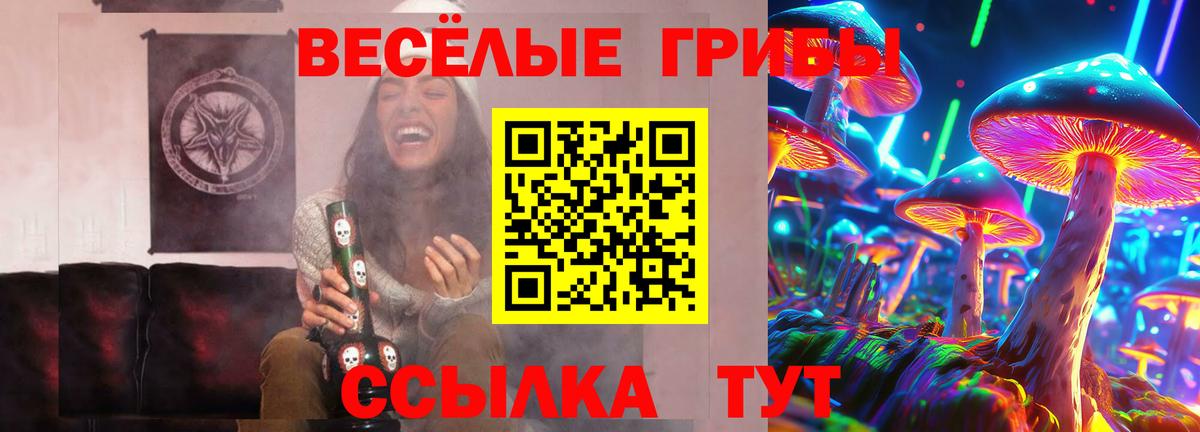 Псилоцибиновые грибы Cubensis Артём