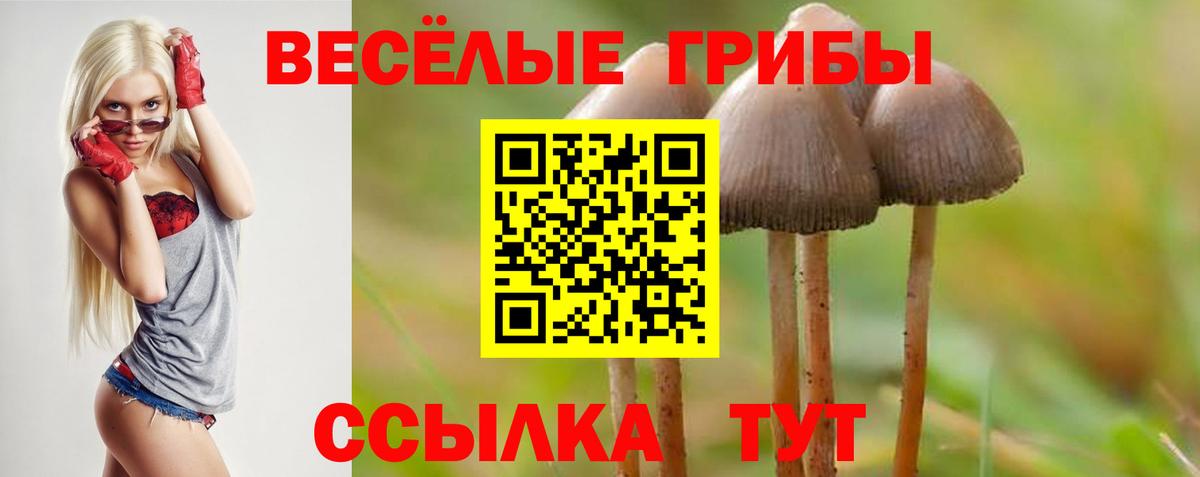 Галлюциногенные грибы GOLDEN TEACHER Артём